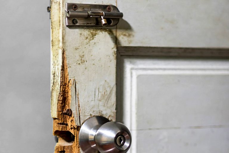 No Win No Fee Claims Explained Chris Rudd Solicitors