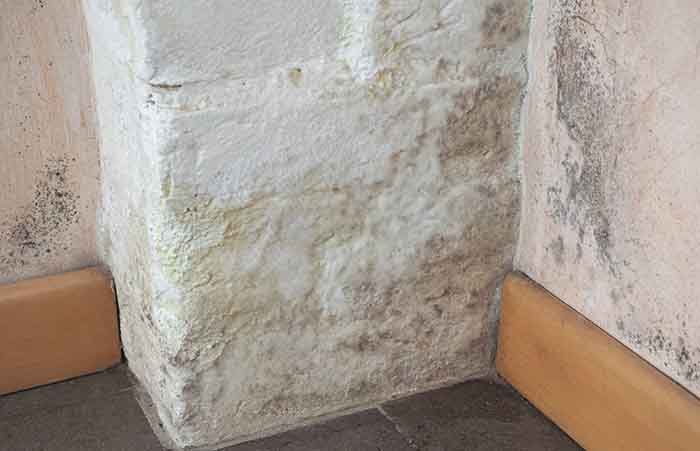 Damp on the wall housing disrepair, damage caused by dampness and moisture on a wall