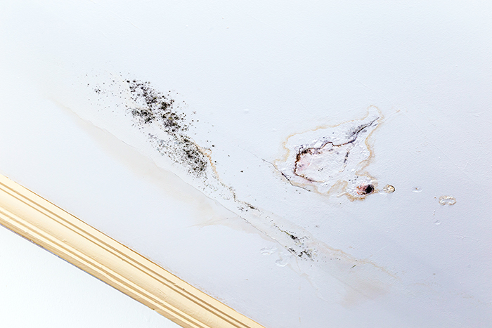 water leaks disrepair, leaking ceiling and leaking water causing mould and black mould
