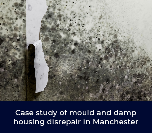 mould and damp housing disrepair